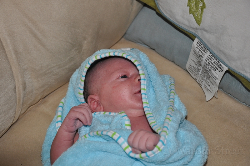 William's Third Week 08.jpg